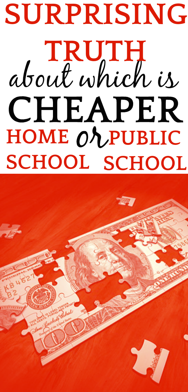 Cost of Homeschool vs Public School: WHICH ONE IS CHEAPER? text over a red image of a hundred dollar bill puzzle