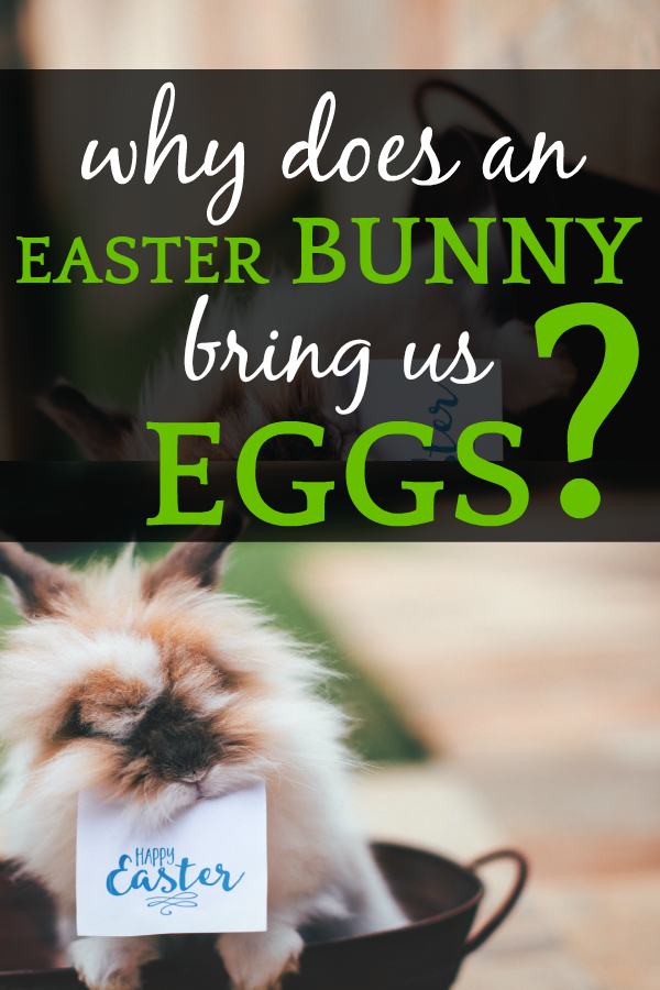 Easter Bunny History | Where Did the Easter Bunny Come From? Easter Bunny History | Where Did the Easter Bunny Come From?