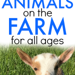 Farm Animals Activities for Kids