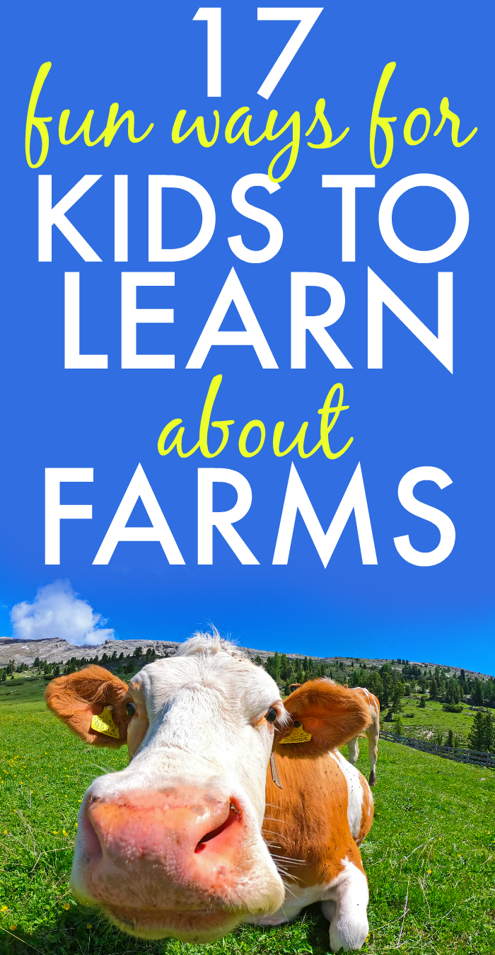 Farm Lesson Plans text over image of a cow on a farm