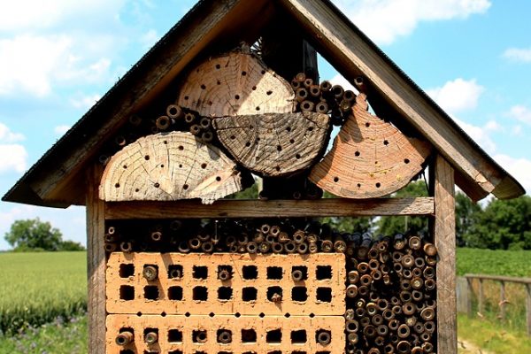 homeschool room essentials outdoor learning space: bee house made out of wood