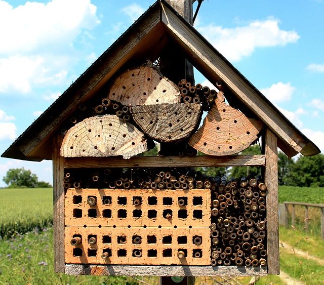 8 CRAZY AMAZING Outdoor Classrooms + Nature Learning Space Ideas ...