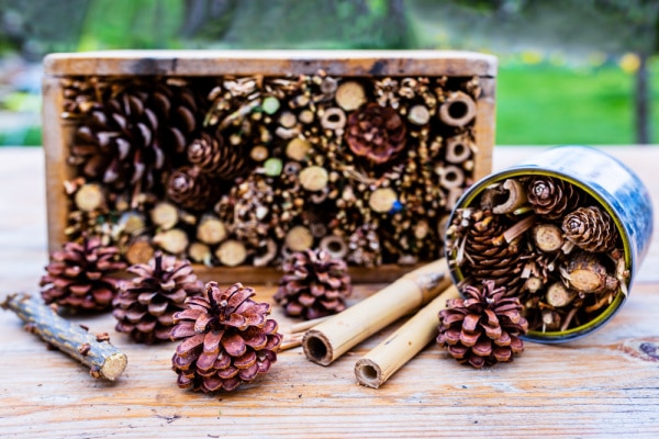 Outdoor Class Room ideas with a bug house made from sticks, pine cones and other natural items