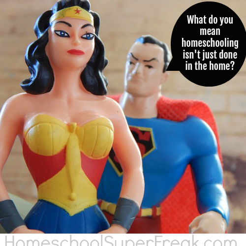 Funny Homeschool Meme: Homeschooling Without a Parent (Outside the Home)