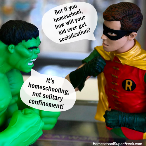 Funny Homeschool Meme: Homeschool Socialization