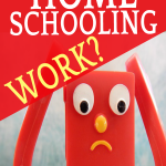 How Does Homeschooling Work? 10 Common Homeschool Questions Answered toy holding head with panic on face