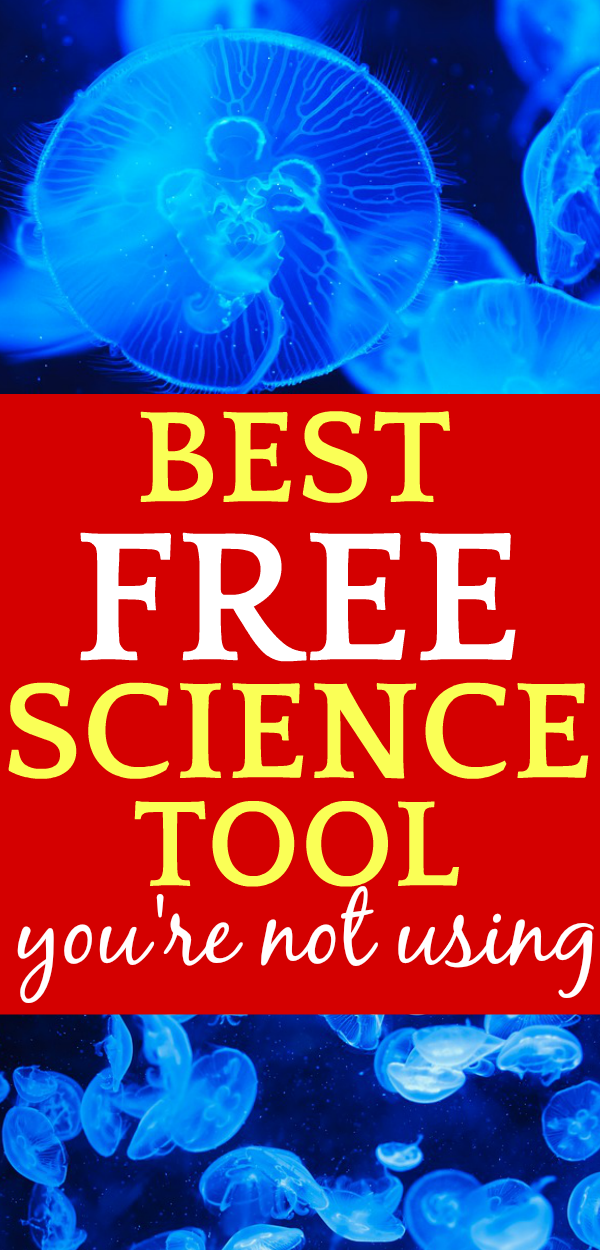 StudyJams gives you FREE hands on stem for your classroom homeschool or at home learning And there is even a Study Jams math We will discuss What is taught in STEM and STEAM and awesome lesson plans for different grades and levels and alternatives online #homeschool #homeschooling #homeschoolers #STEM #stemactivities #stemeducation #science #scienceexperiments #homeschoolscience