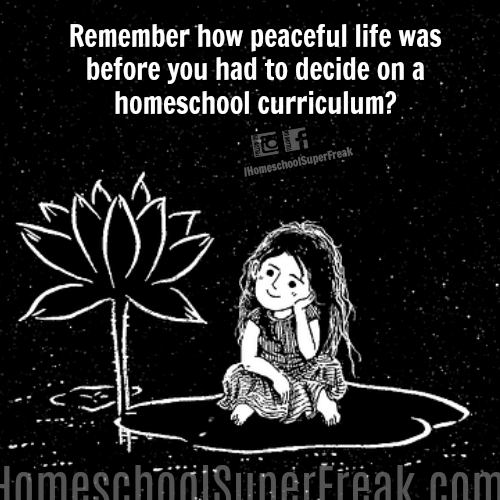 Funny Homeschooling Memes #15: Remember How Peaceful Life Was Before the Homeschool Curriculum Search?