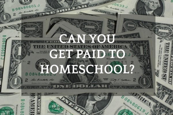 Do You Get Paid To Homeschool? (Do Any States Pay Parents To Homeschool?) dollar bills spread out with text