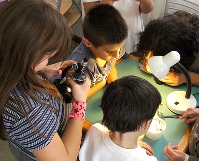 What is the best microscope for home use for kids / best homeschool microscope? group of kids huddled over a table looking at a microscope