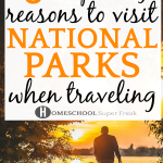 6 Reasons to Visit US National Parks While Traveling With Kids father and child walking toward a lake with the sun setting