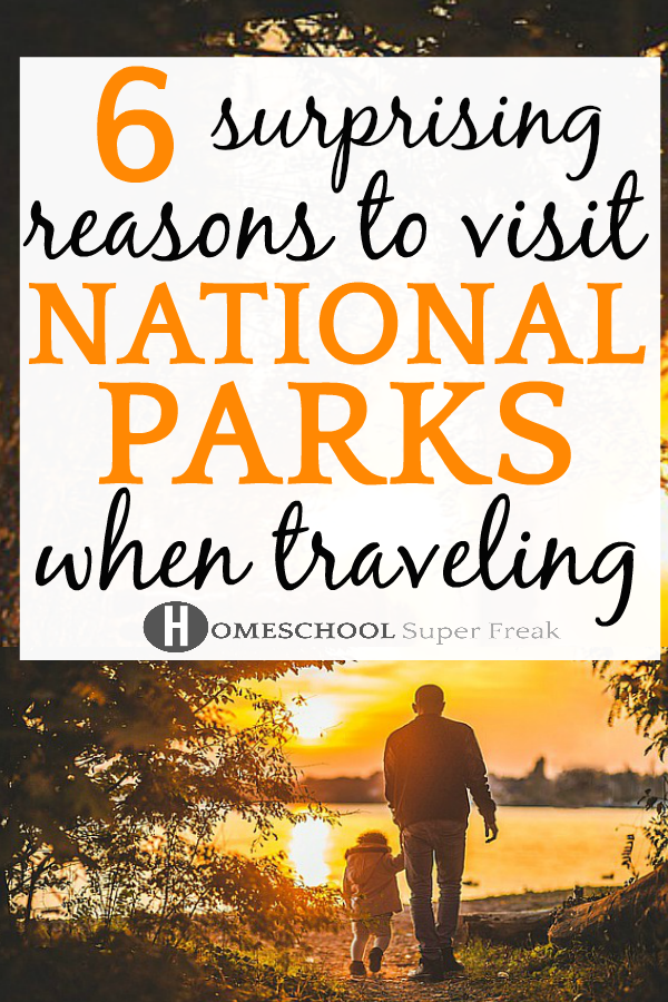 6 Reasons to Visit US National Parks While Traveling With Kids father and child walking toward a lake with the sun setting