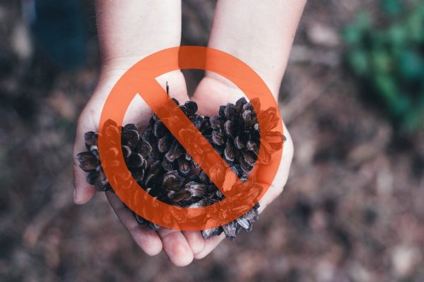 The Horrors Of Unstructured Play