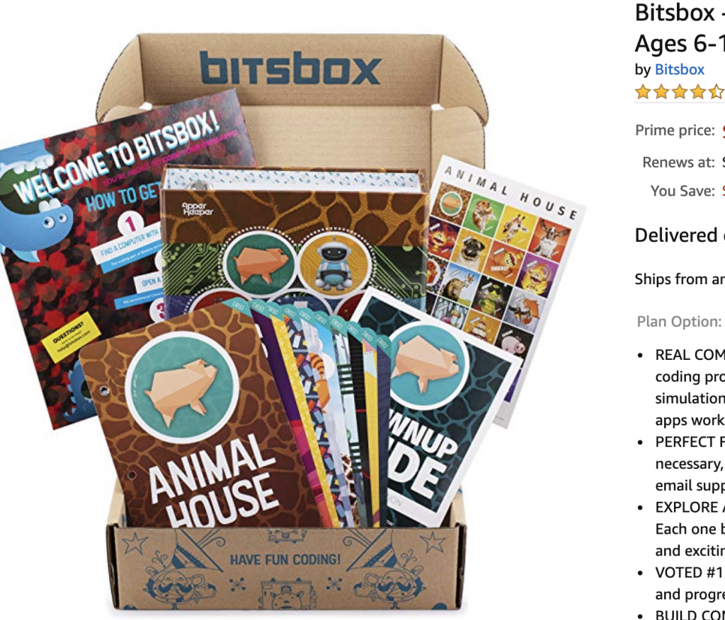 Bitsbox Coding Subscription Box for Kids
