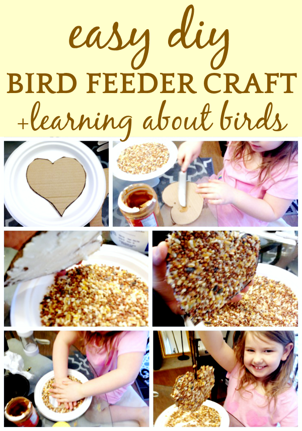 Homemade DIY Bird Feeder Craft for Kids