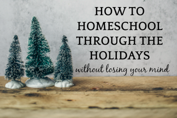 Christmas Homeschool Activities to Save Sanity During Holidays