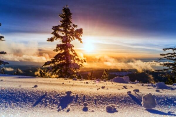 winter solstice children's activities (winter solstice preschool activities and up!) with setting sun behind evergreen tree on snowy land