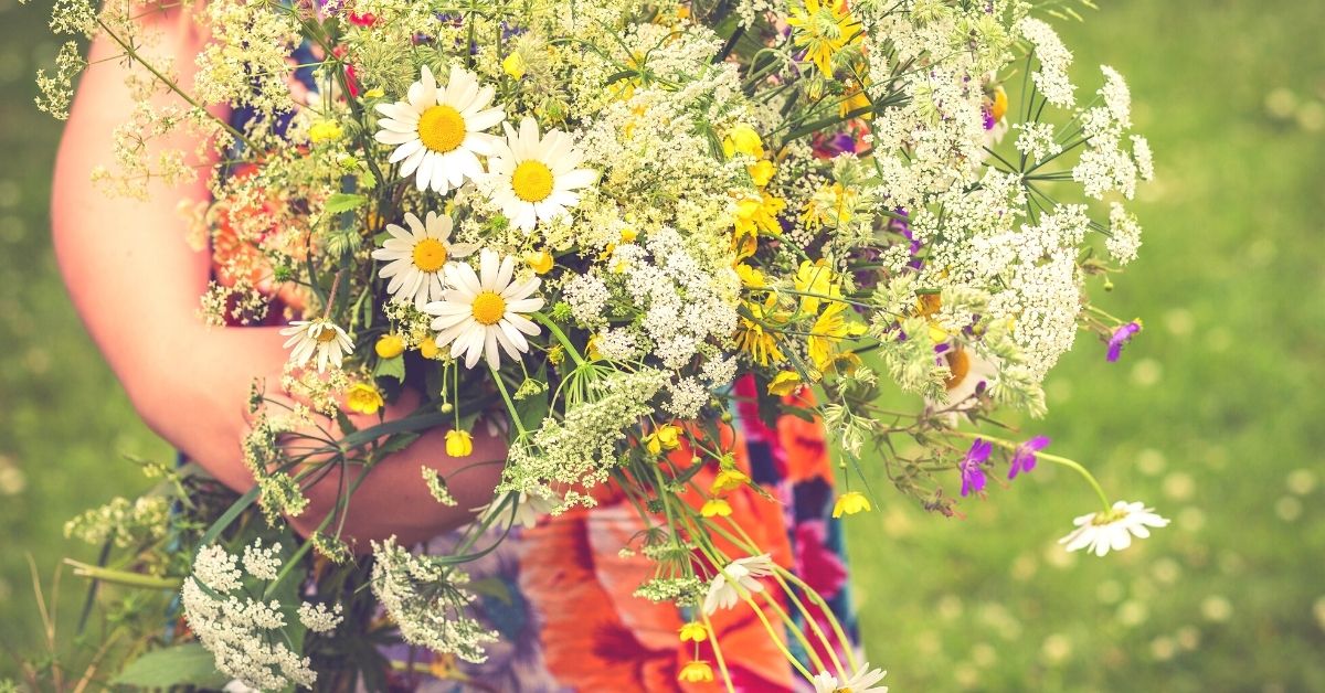what is summer solstice 25 children s activities ideas and lessons