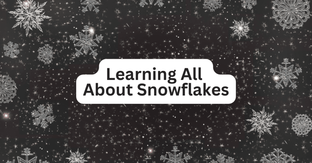 Snowflakes Explained (Fun Snowflake Lesson Plans And Activities For Kids)